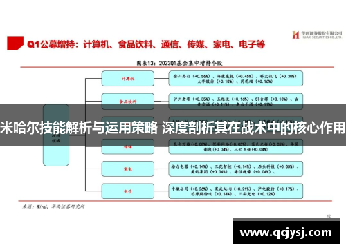 米哈尔技能解析与运用策略 深度剖析其在战术中的核心作用