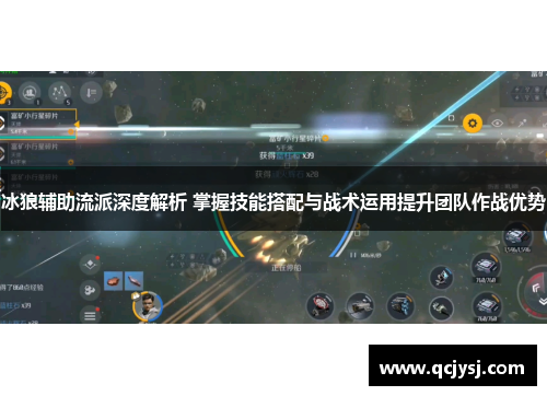 冰狼辅助流派深度解析 掌握技能搭配与战术运用提升团队作战优势